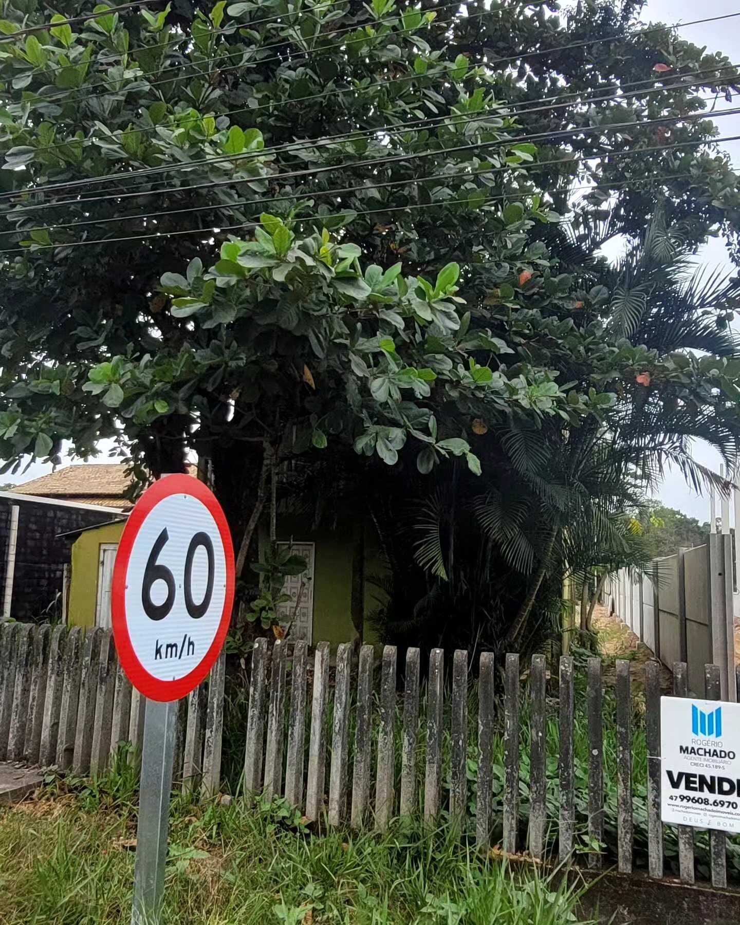 Imagem principal do imóvel