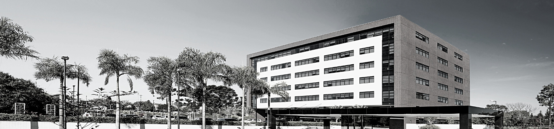 TOP SOLUÇÕES IMOBILIÁRIAS