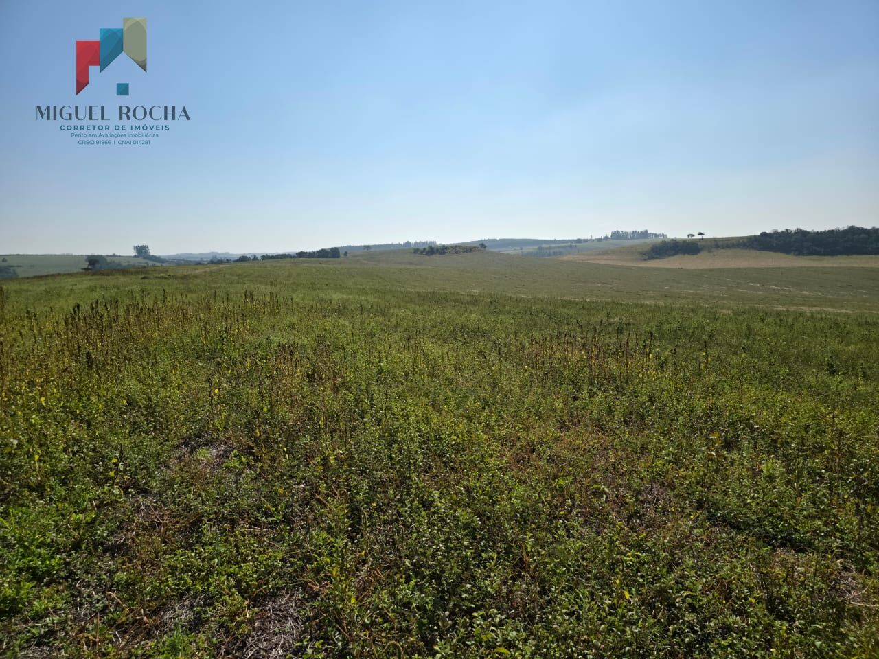 Fazenda para arrendamento para grãos Região Sorocaba - foto 11