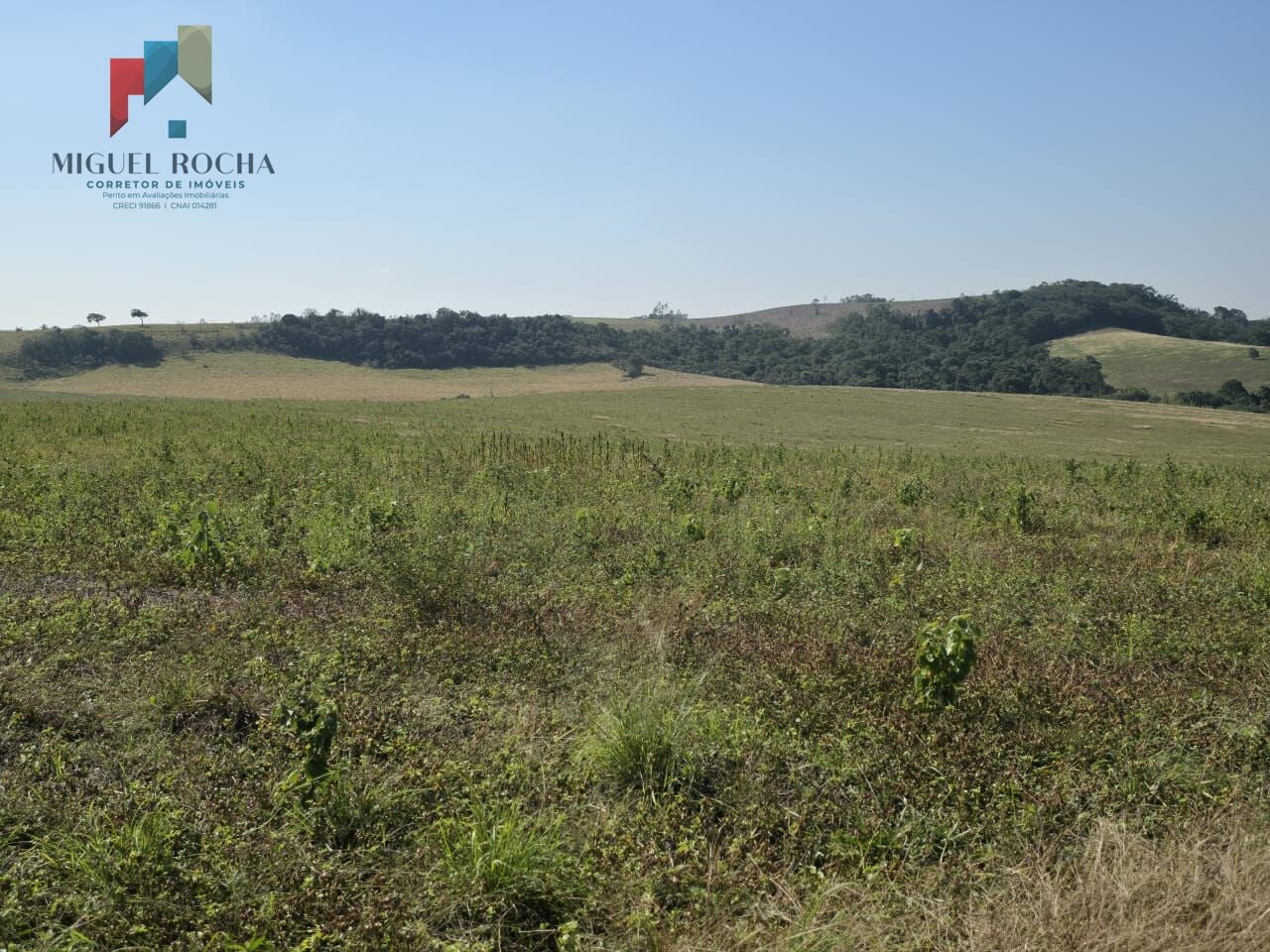 Fazenda para arrendamento para grãos Região Sorocaba - foto 3
