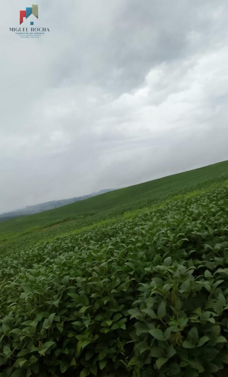 Fazenda região Itapetininga SP