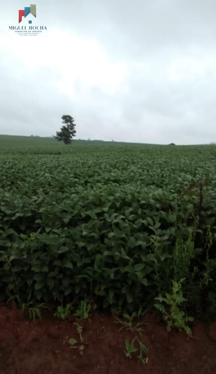 Fazenda região Itapetininga SP