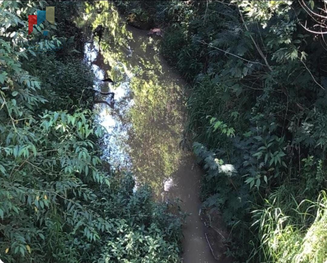 Fazenda região Itapetininga SP