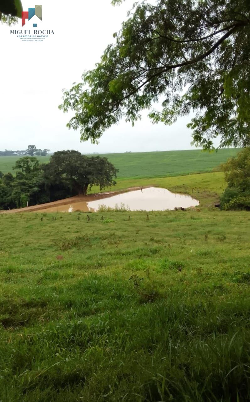 Fazenda região Itapetininga SP