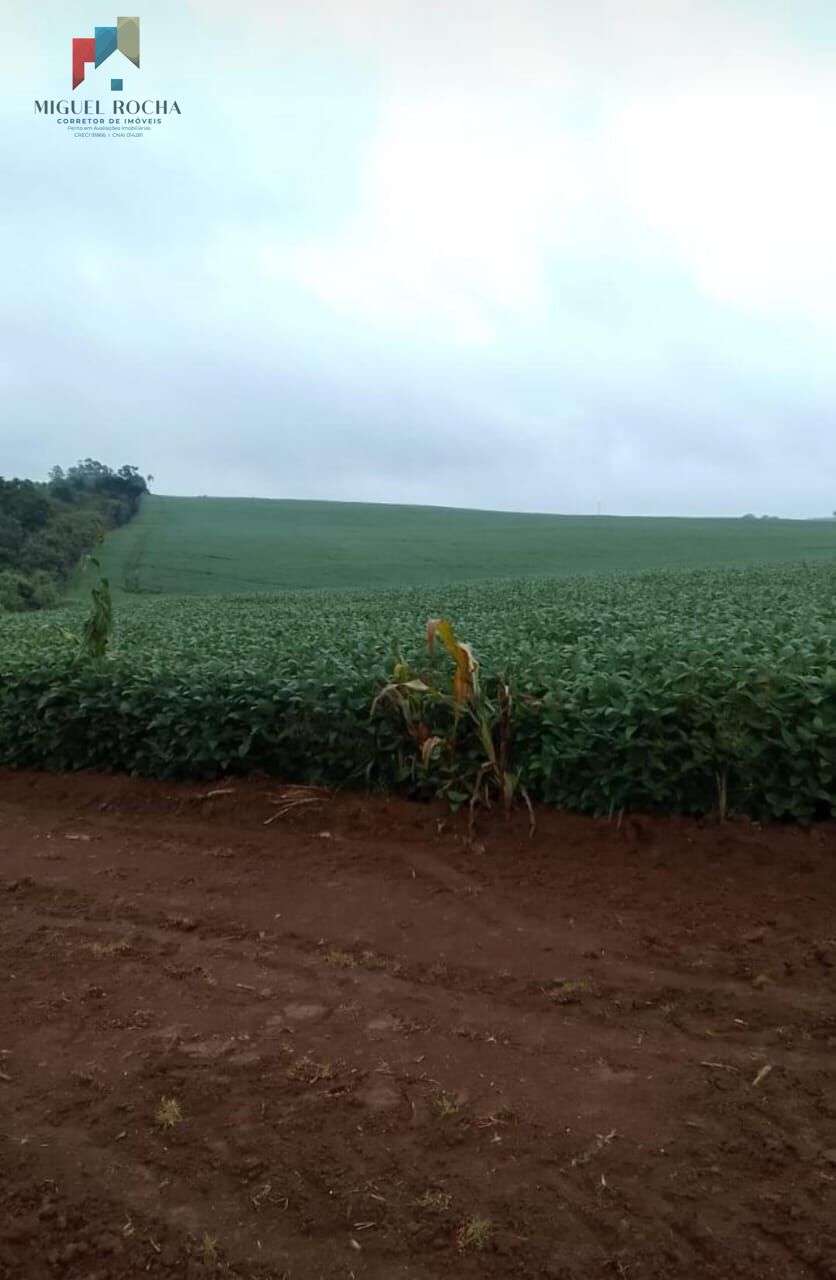Fazenda região Itapetininga SP