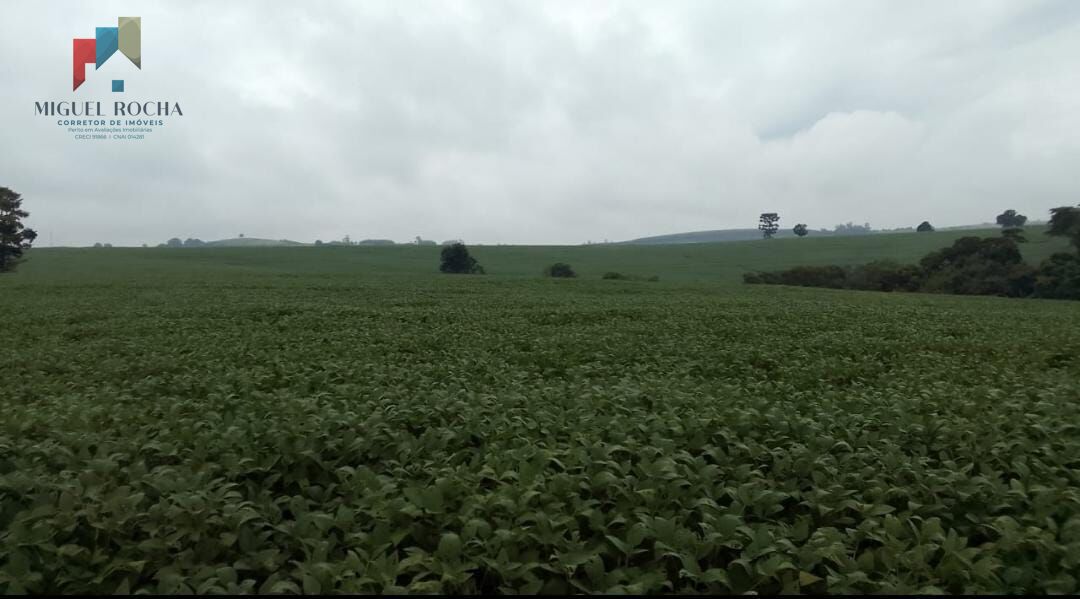 Fazenda região Itapetininga SP