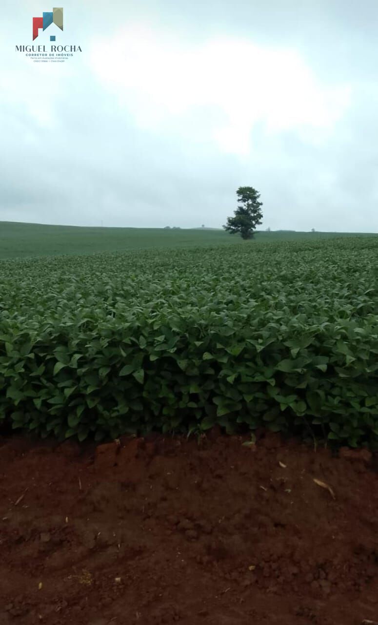 Fazenda região Itapetininga SP
