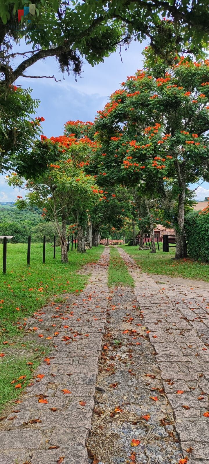 Fazenda região de Sorocaba SP - foto 7