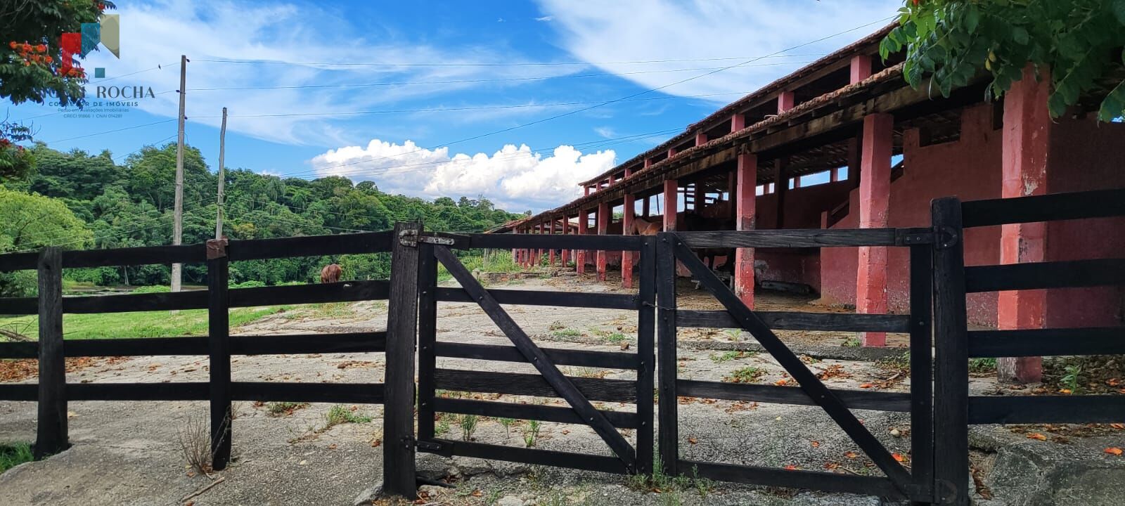 Fazenda região de Sorocaba SP - foto 16