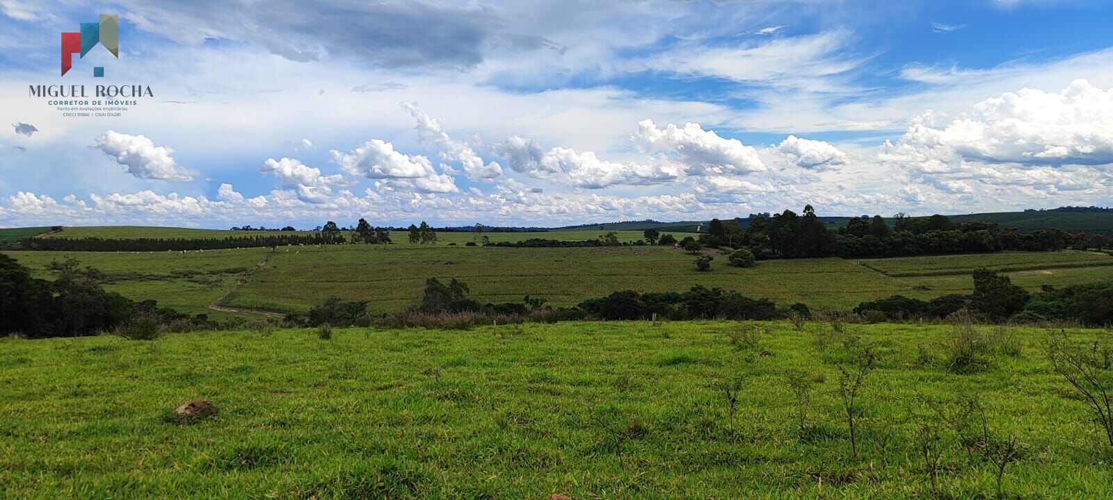 Fazenda região de Sorocaba SP - foto 33