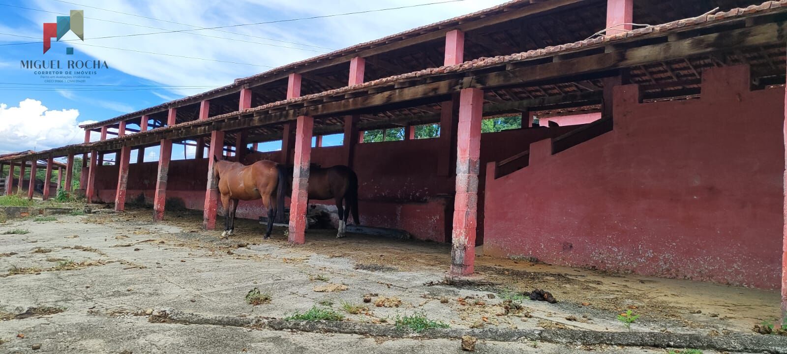 Fazenda região de Sorocaba SP - foto 12