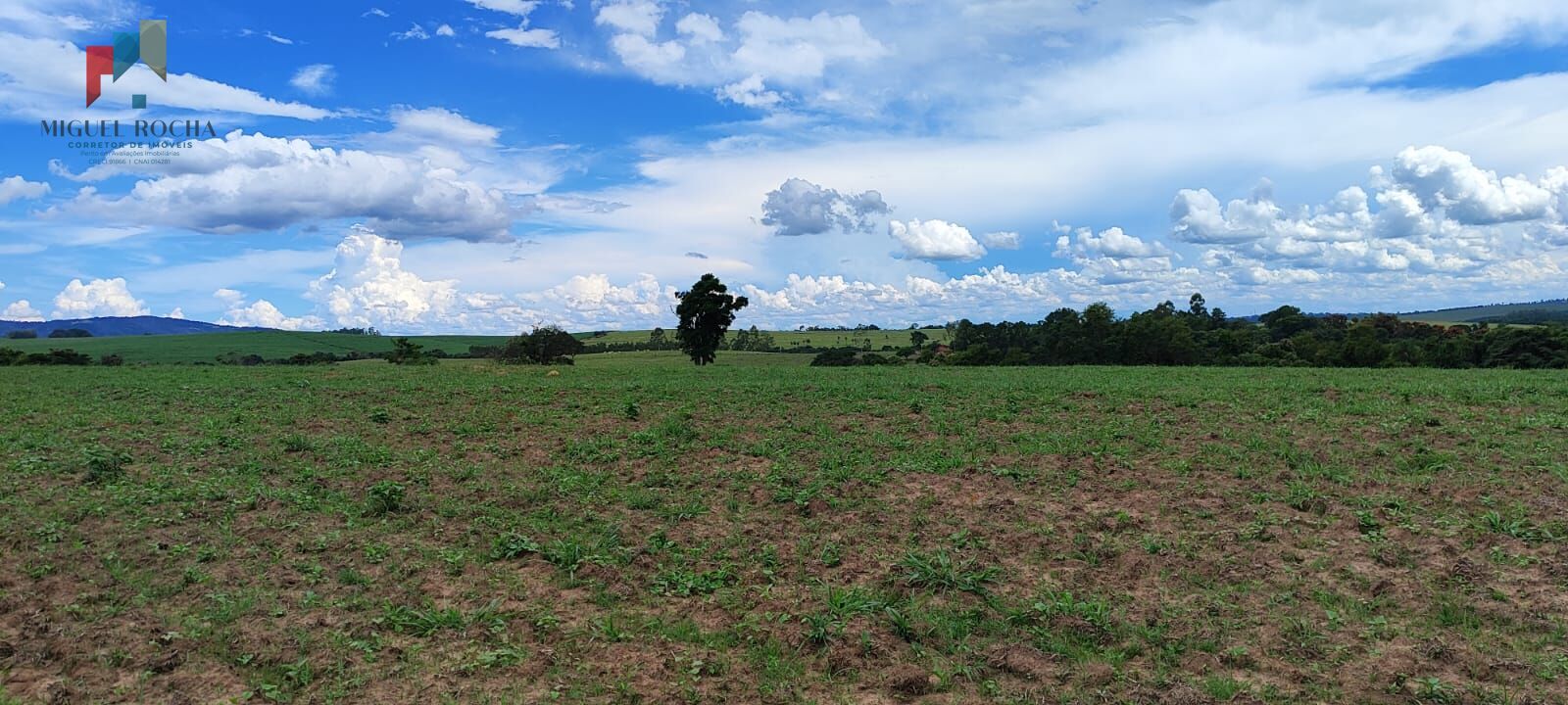 Fazenda região de Sorocaba SP - foto 19