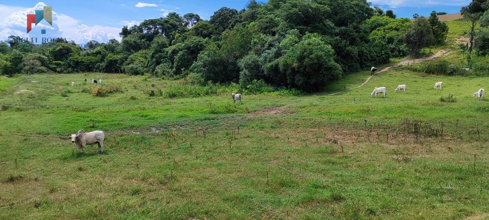 Fazenda região de Sorocaba SP - foto 18