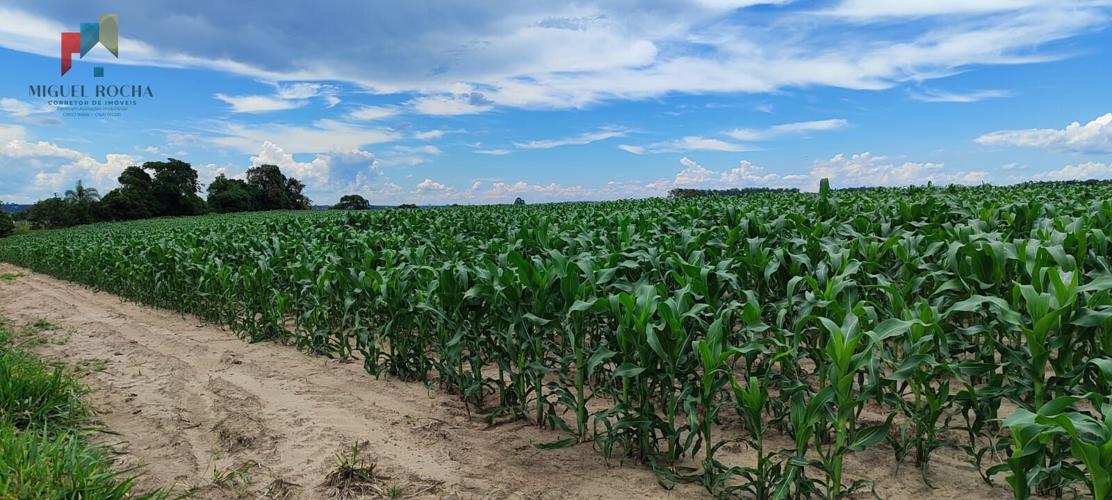 Fazenda região de Sorocaba SP - foto 22