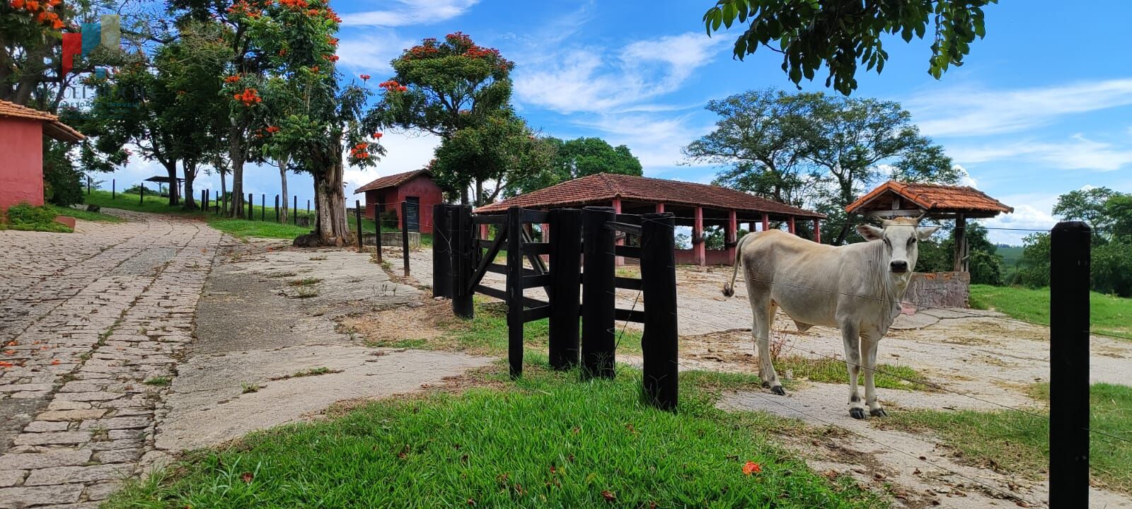 Fazenda região de Sorocaba SP - foto 20