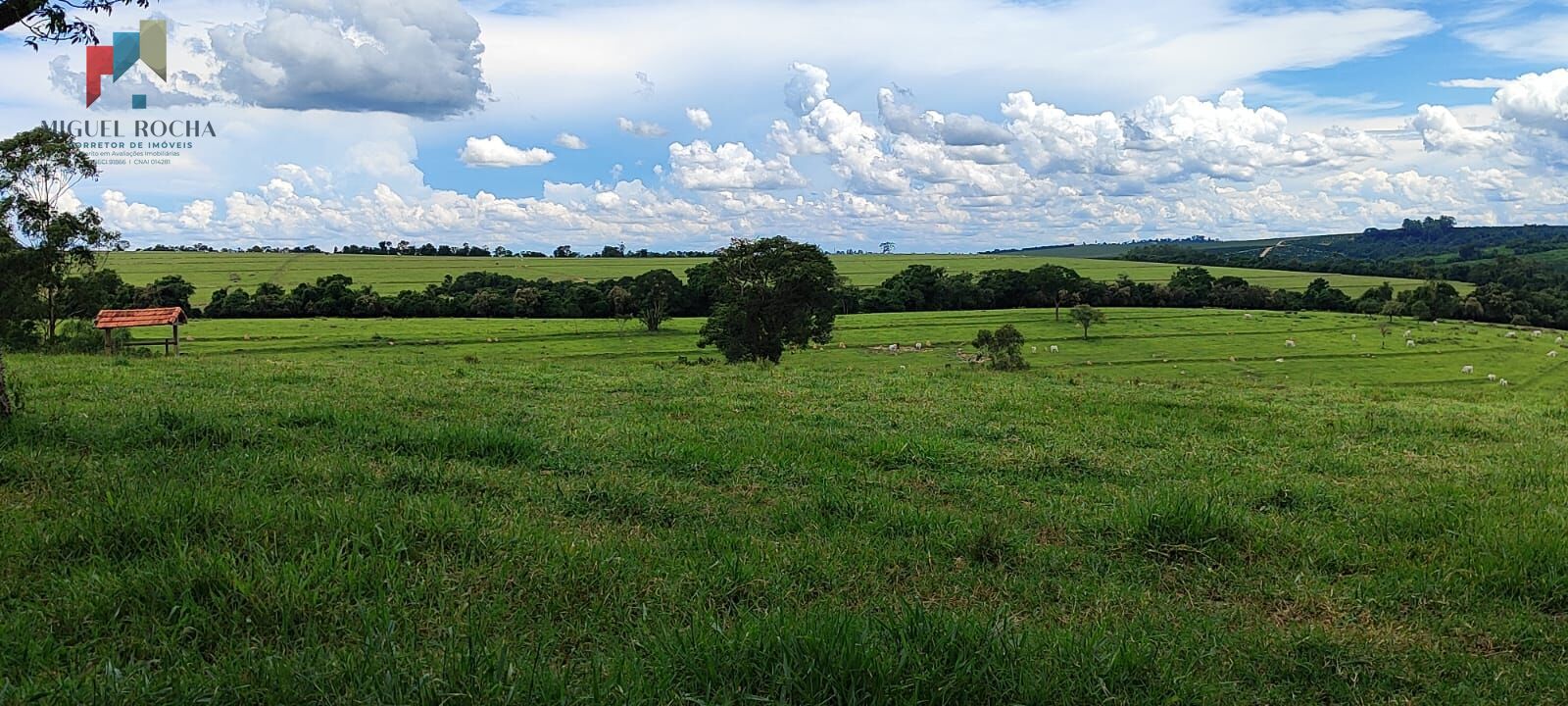Fazenda região de Sorocaba SP - foto 17