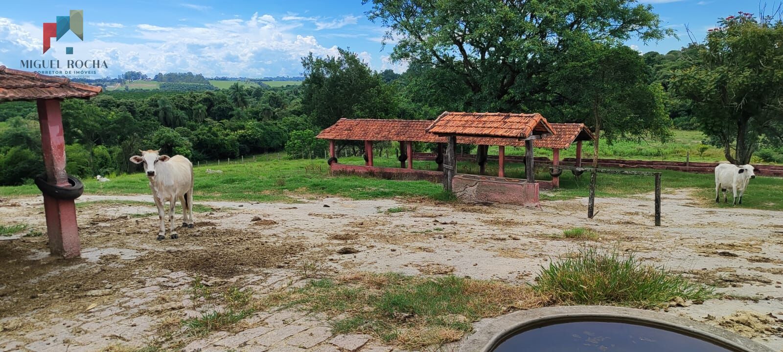 Fazenda região de Sorocaba SP - foto 13