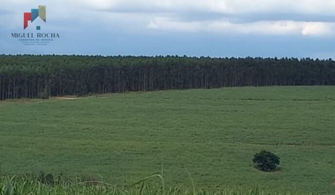 Fazenda Região de Piracicaba SP