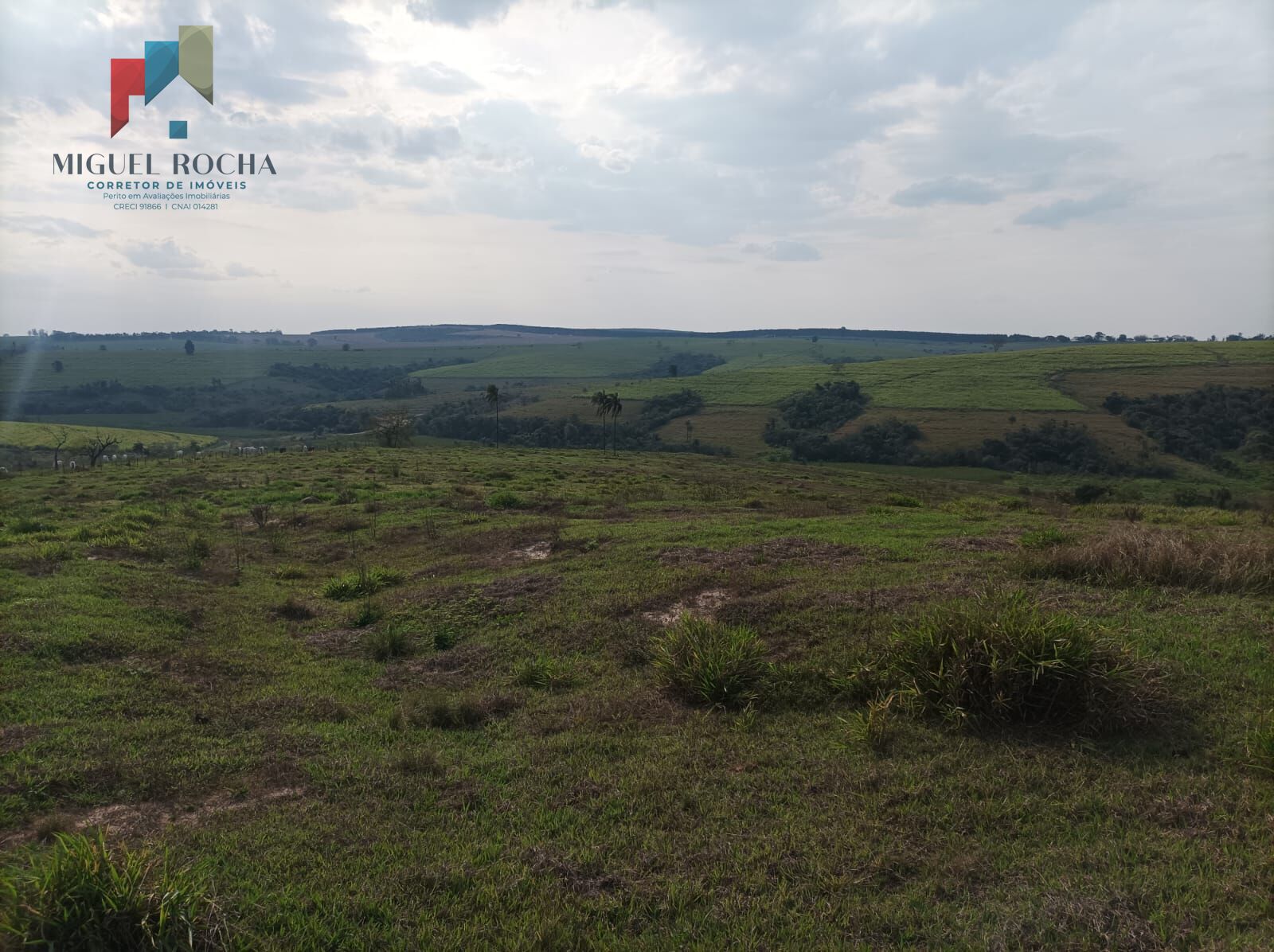 Fazenda Região de Piracicaba SP