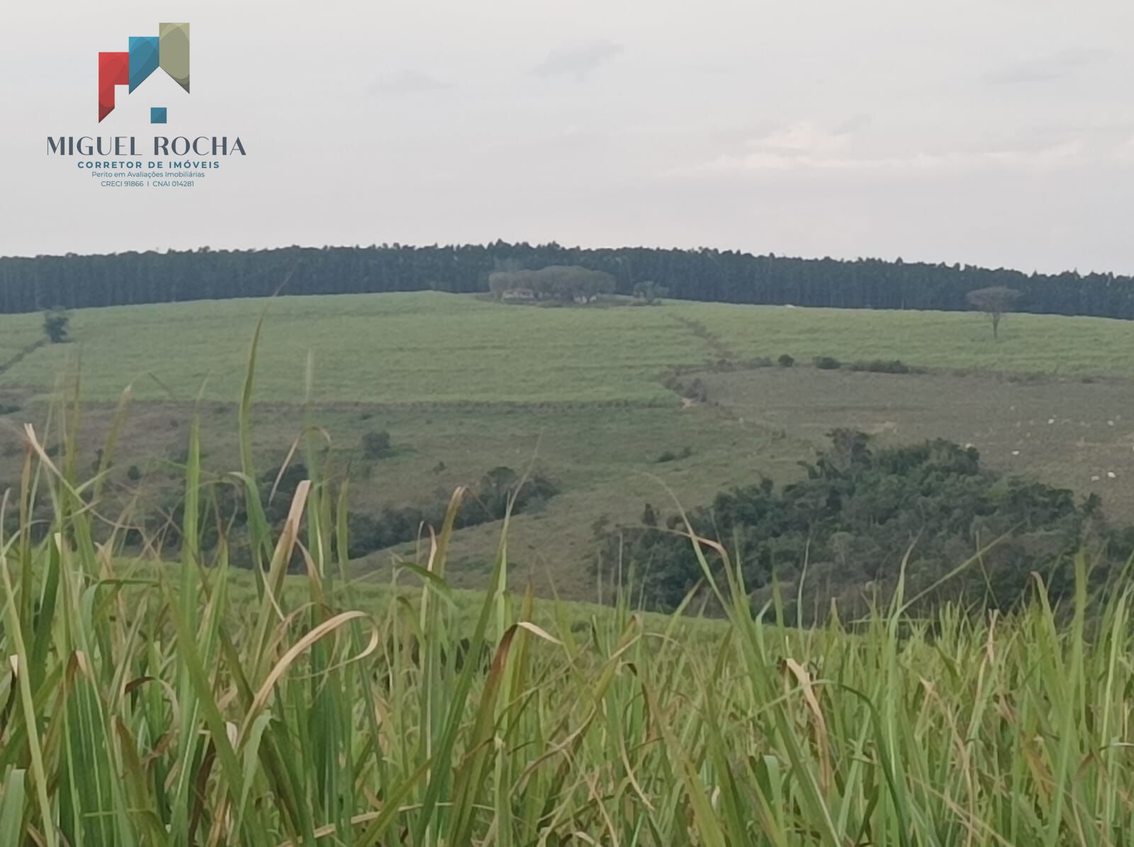 Fazenda Região de Piracicaba SP