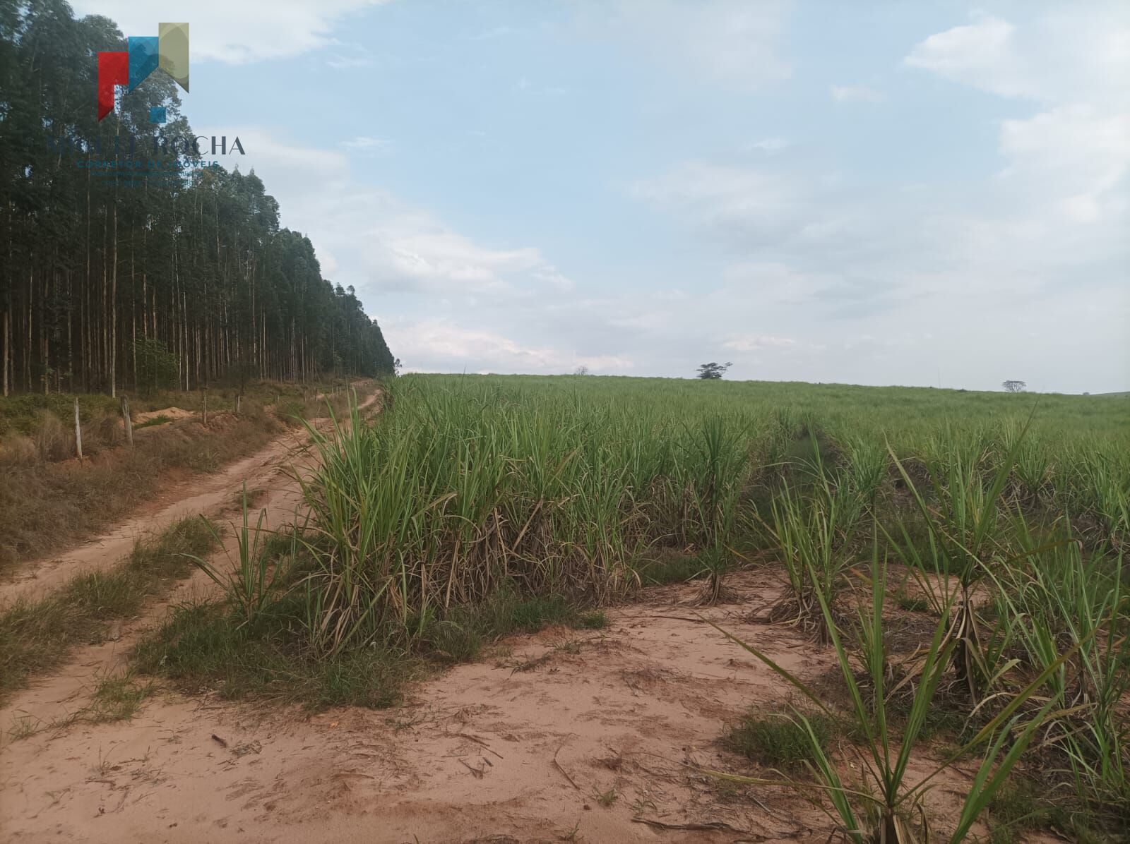 Fazenda Região de Piracicaba SP
