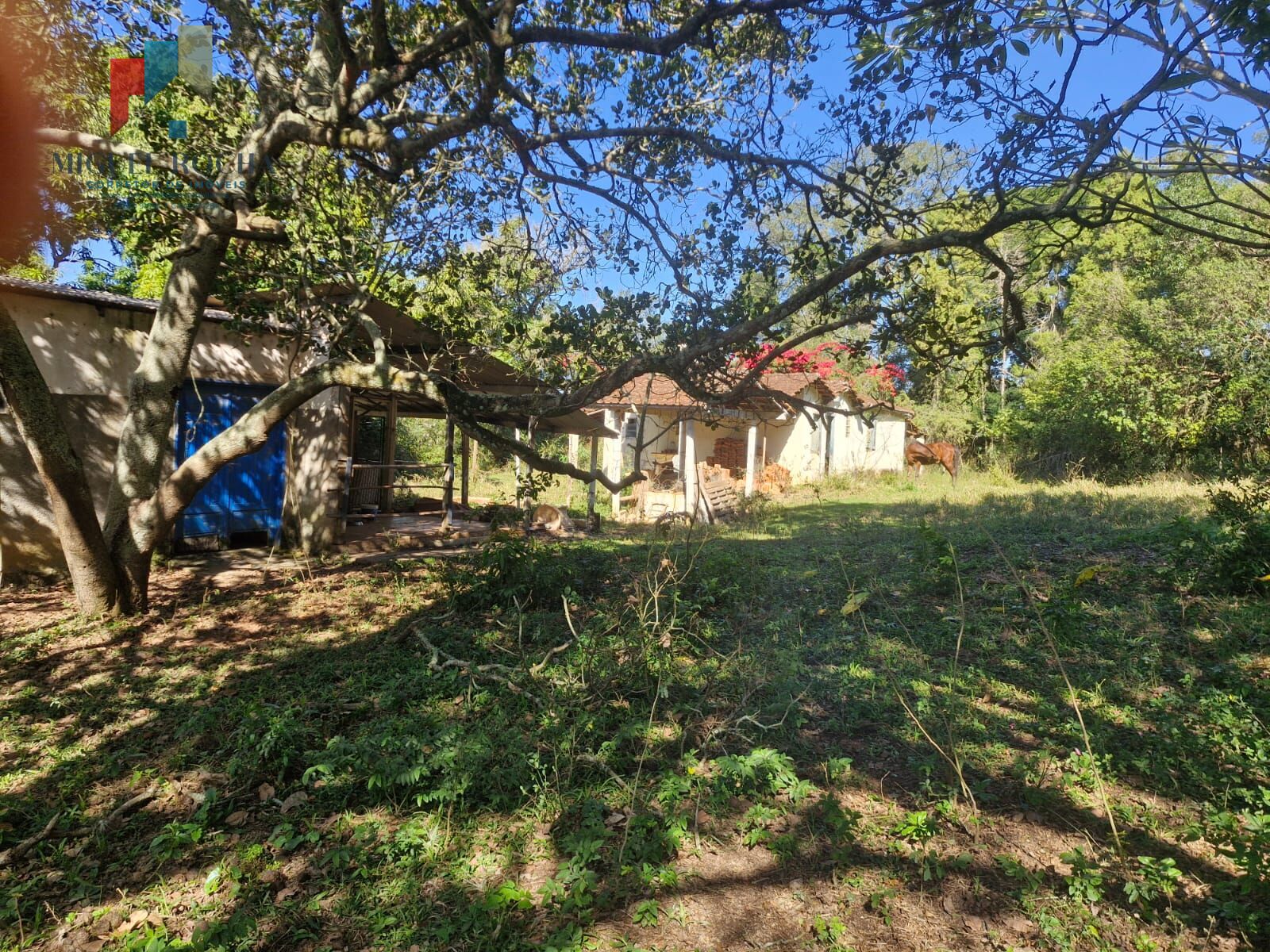 Sítio, 4 quartos, 2 hectares - Foto 11