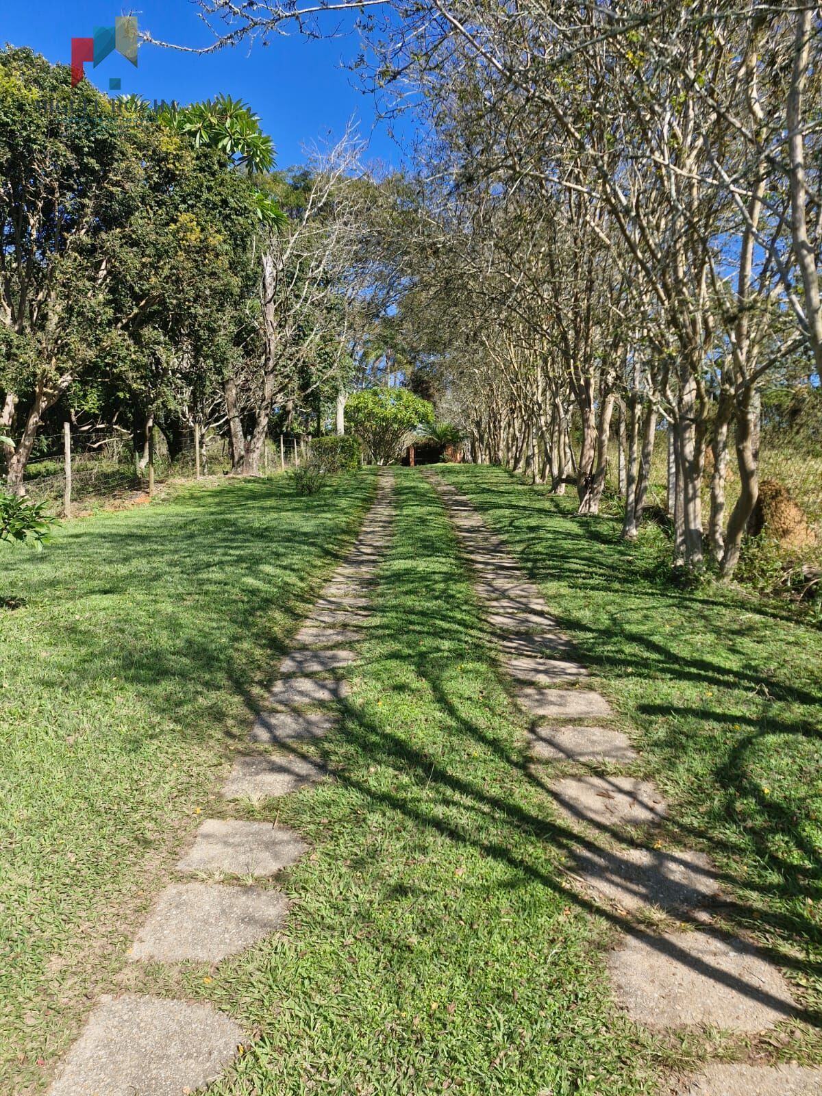 Sítio, 4 quartos, 2 hectares - Foto 31