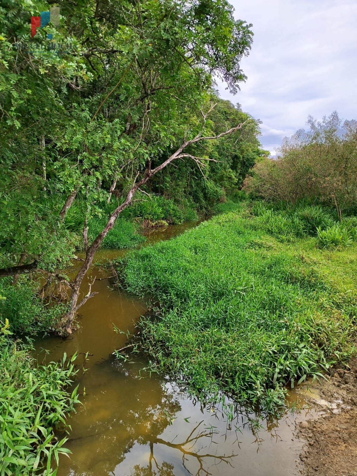 Sítio a venda São Miguel Arcanjo SP