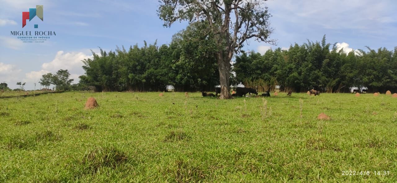 Sítio em Boituva SP - foto 2