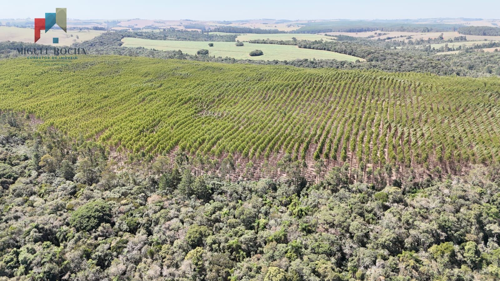 Fazenda a venda em São Miguel Arcanjo SP