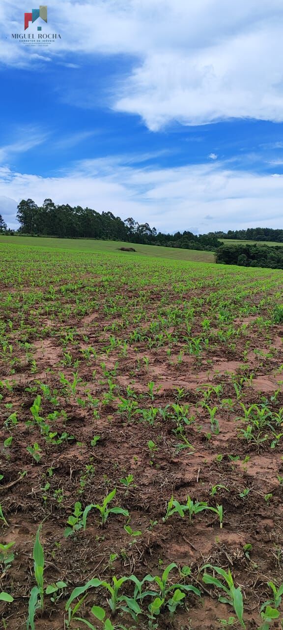 Fazenda a venda em São Miguel Arcanjo SP