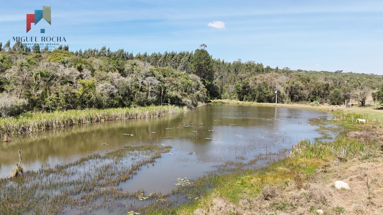 Fazenda a venda em São Miguel Arcanjo SP