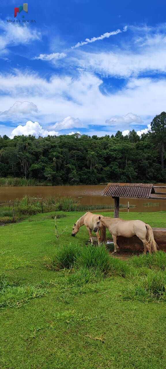 Fazenda a venda em São Miguel Arcanjo SP