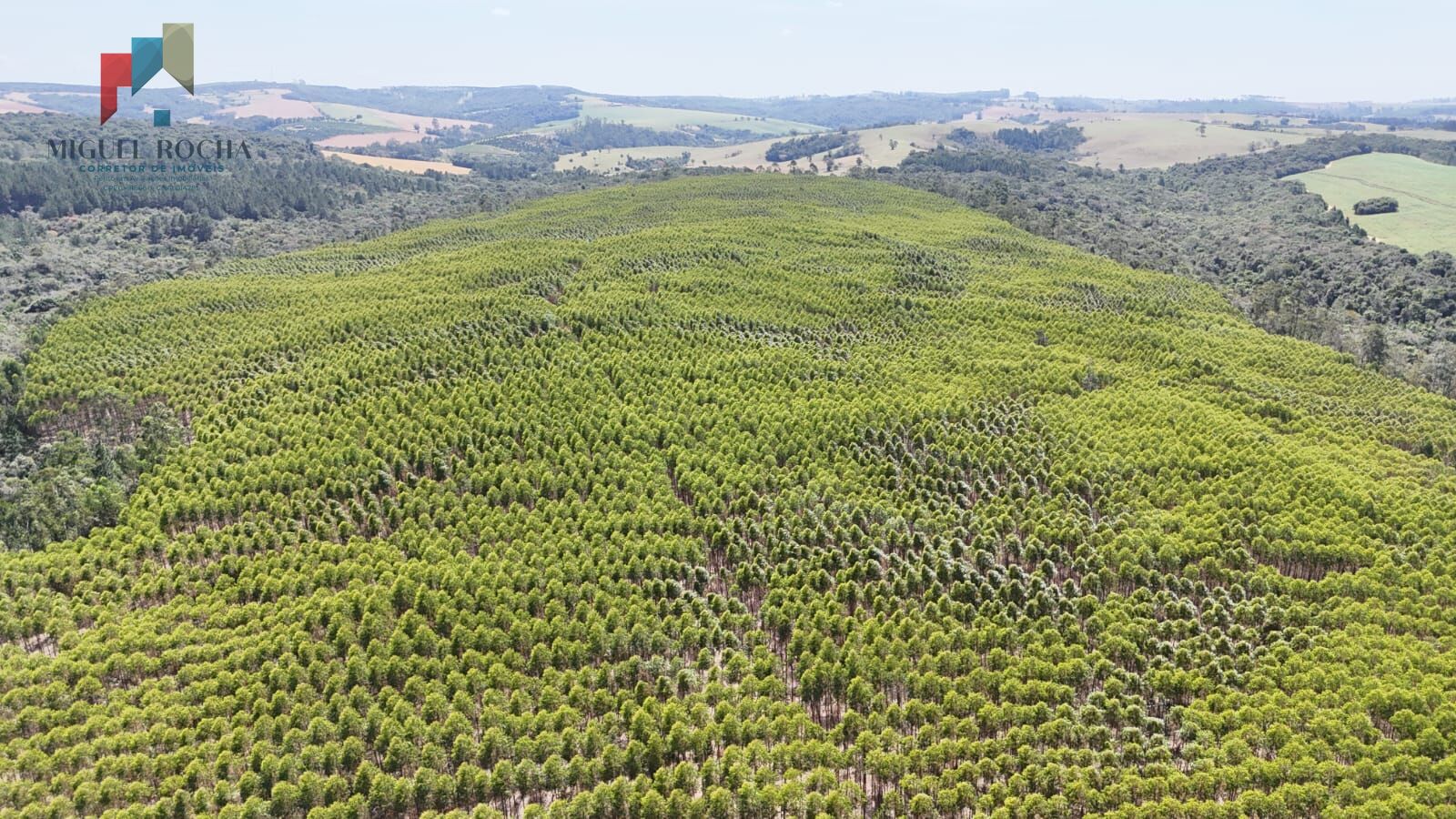 Fazenda a venda em São Miguel Arcanjo SP