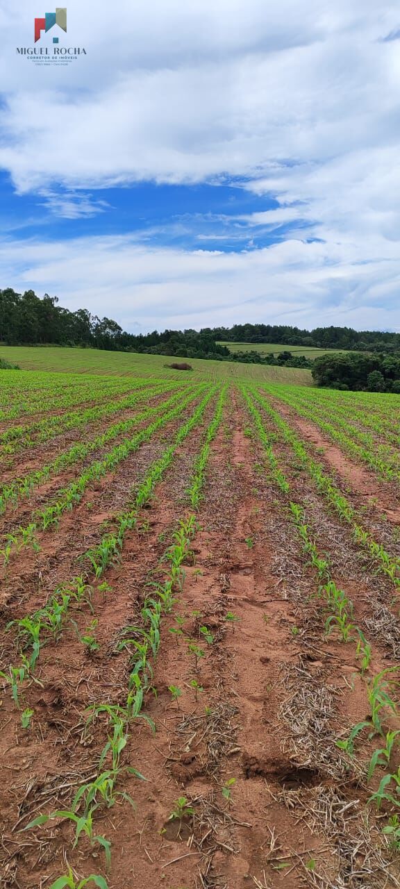 Fazenda a venda em São Miguel Arcanjo SP