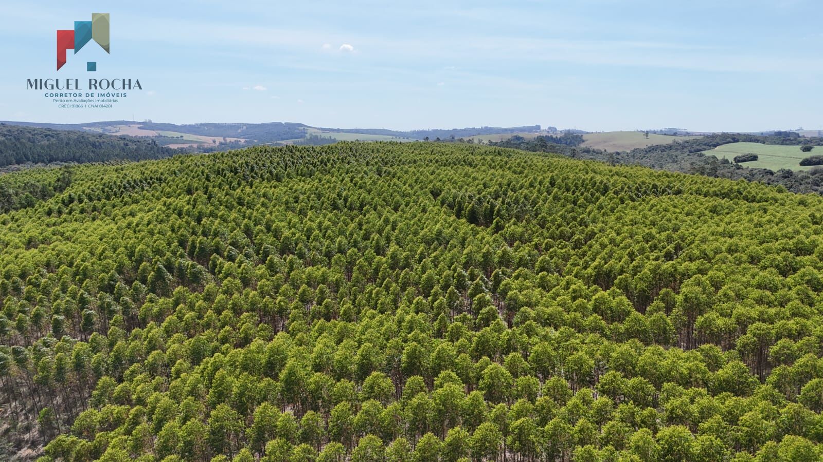 Fazenda a venda em São Miguel Arcanjo SP