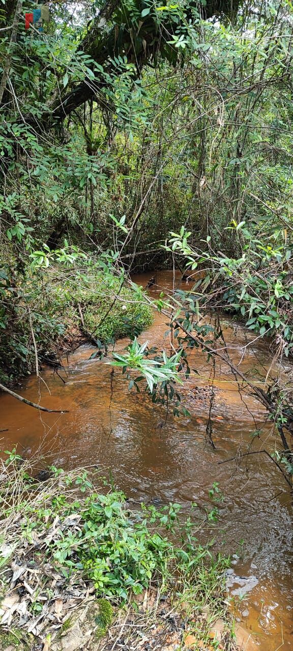 Fazenda a venda em São Miguel Arcanjo SP