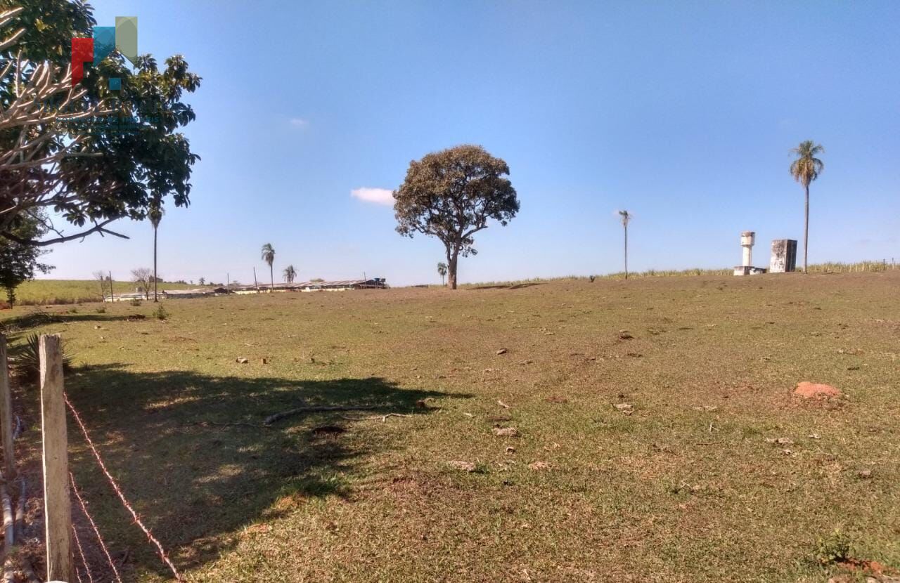 Fazenda a venda Região de Conchas SP