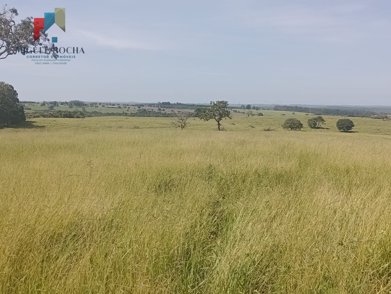 Fazenda Região Botucatu SP