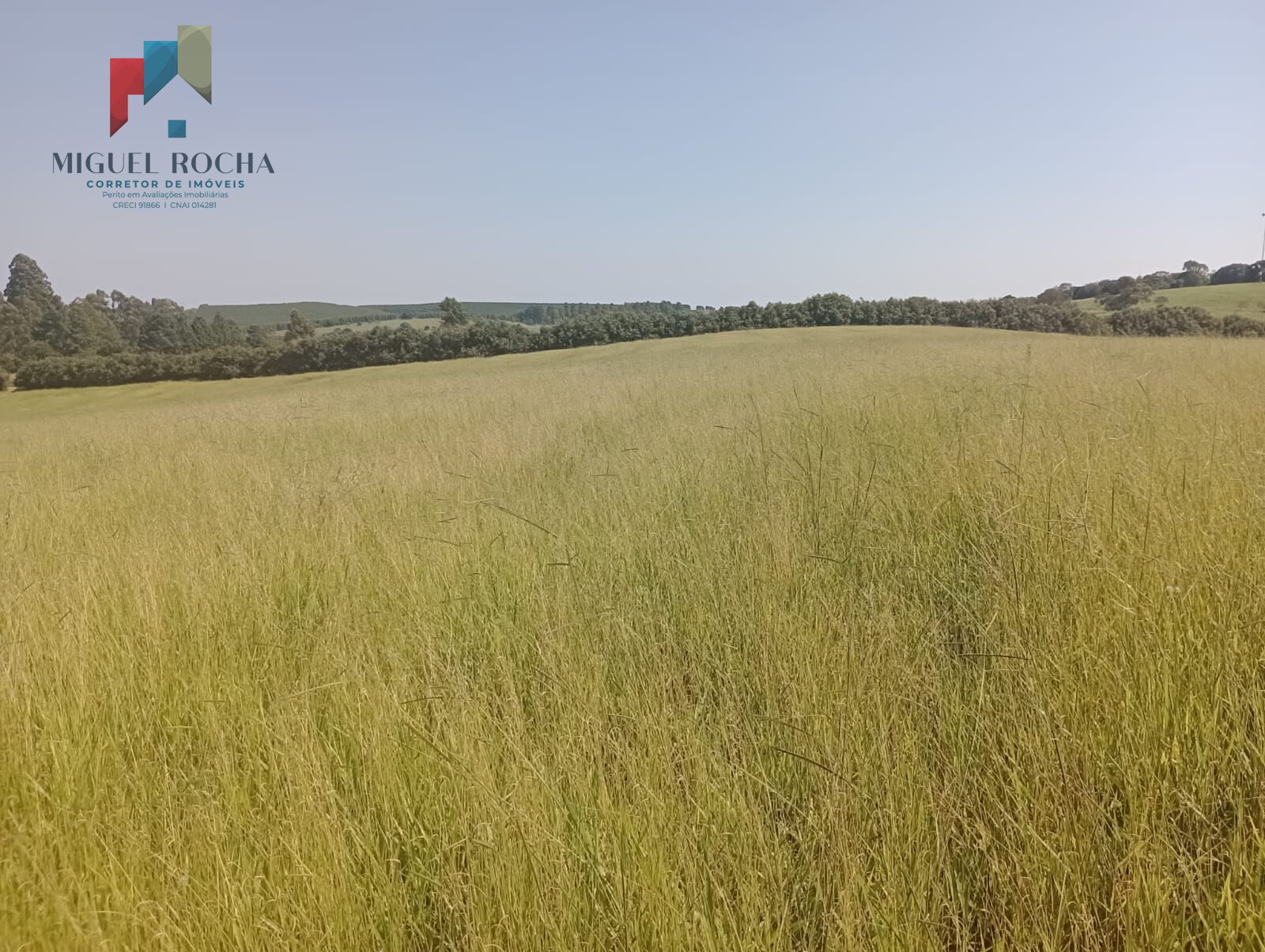 Fazenda Região Botucatu SP
