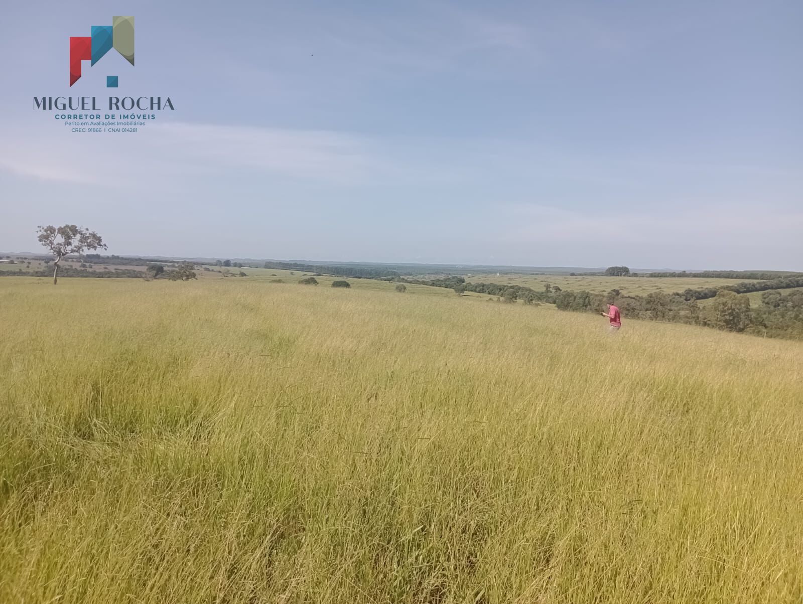 Fazenda Região Botucatu SP
