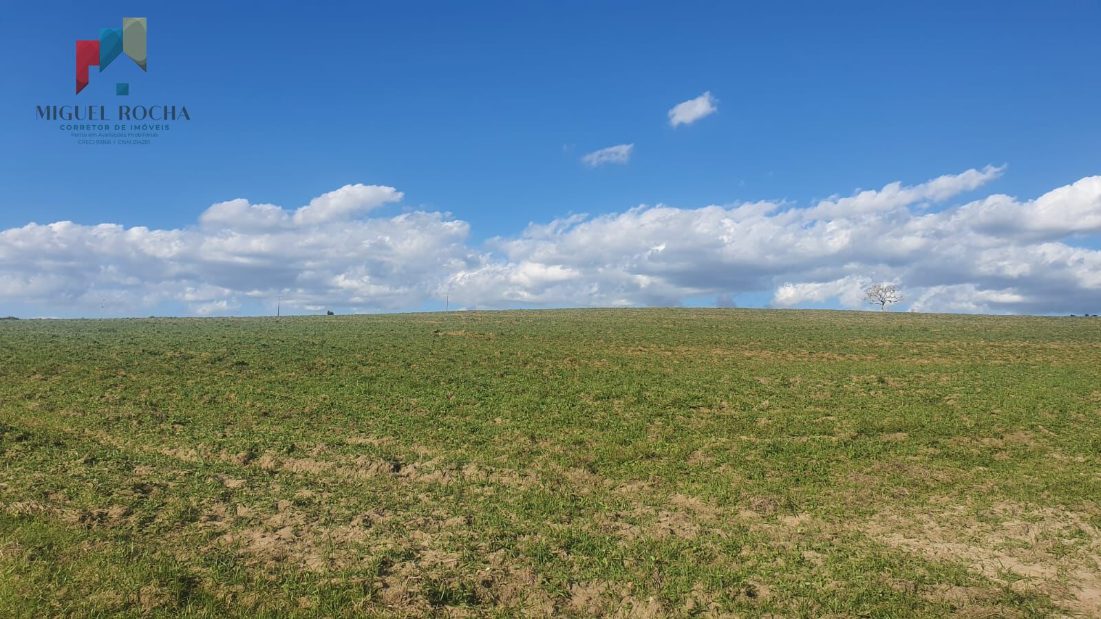 Fazenda Região Botucatu SP
