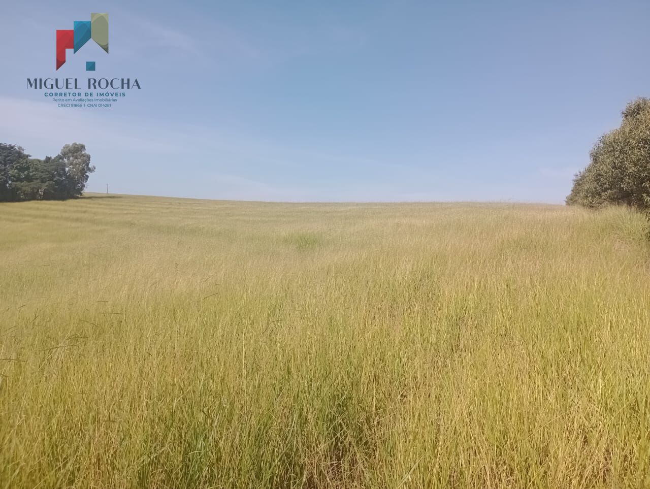 Fazenda Região Botucatu SP