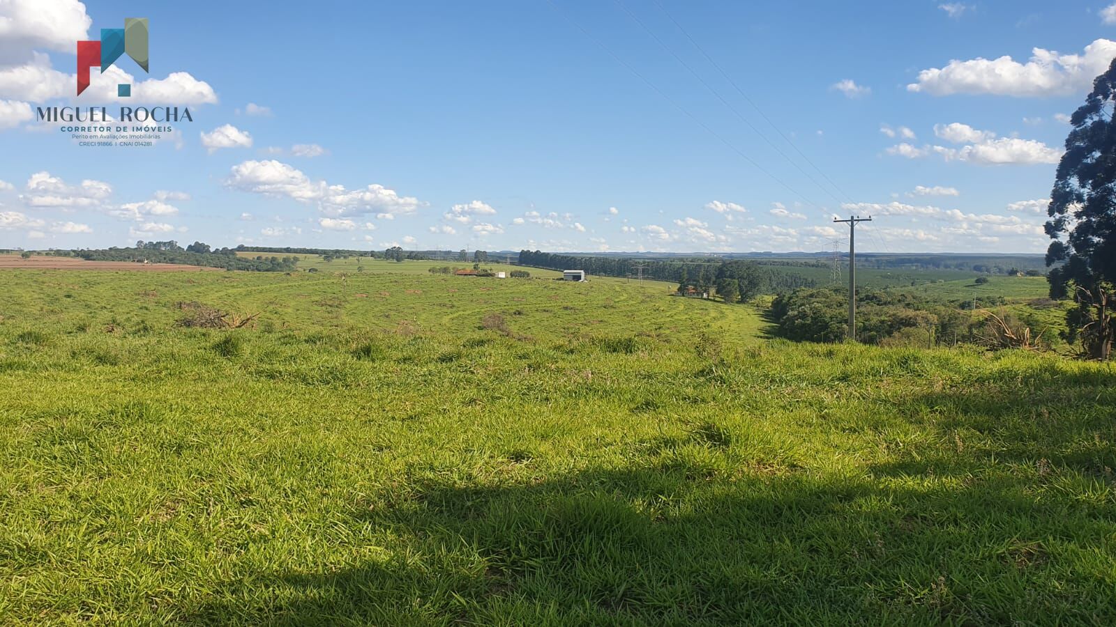 Fazenda Região Botucatu SP