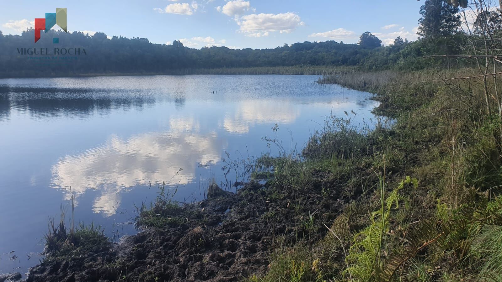 Fazenda Região Botucatu SP
