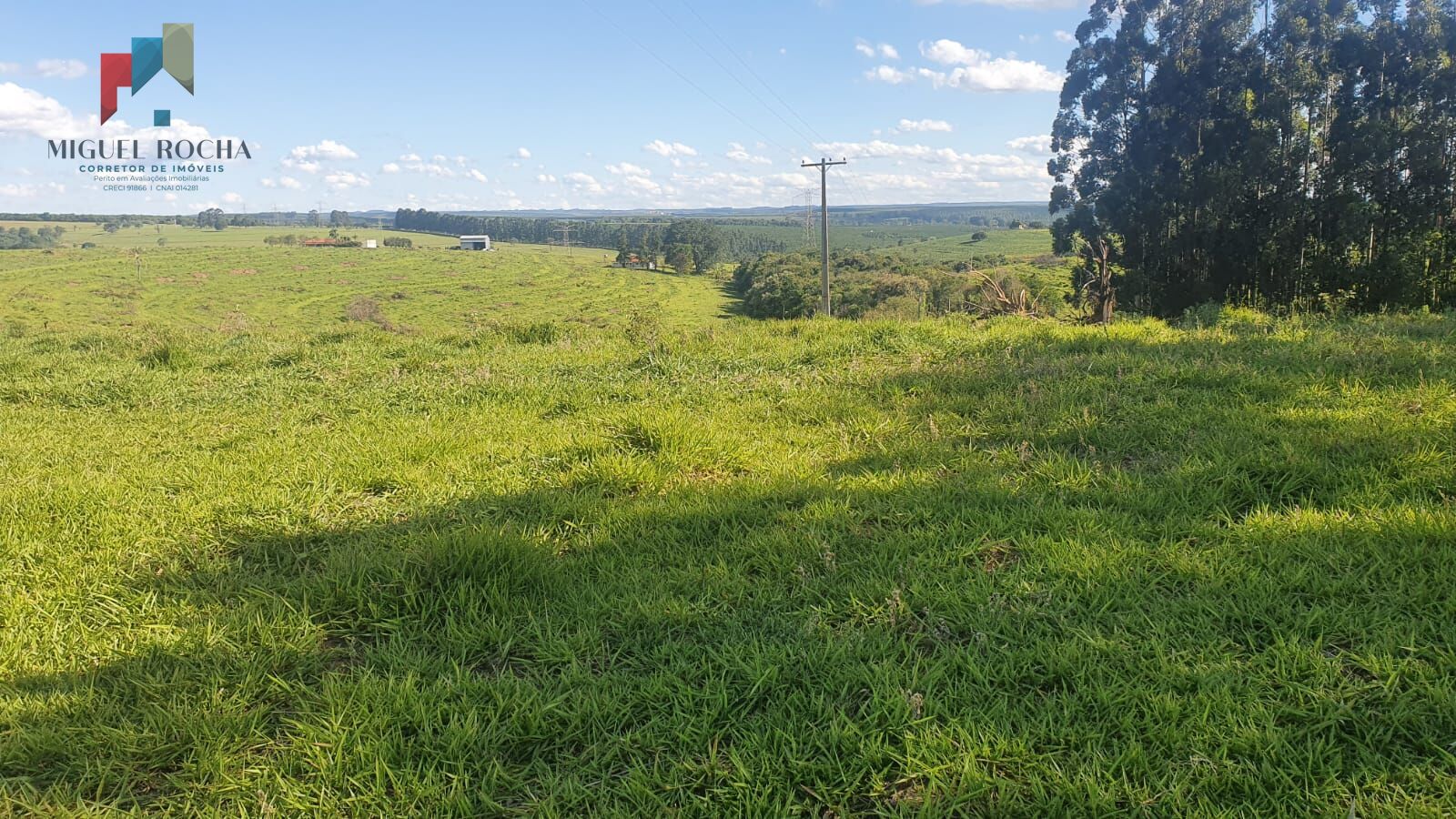 Fazenda Região Botucatu SP