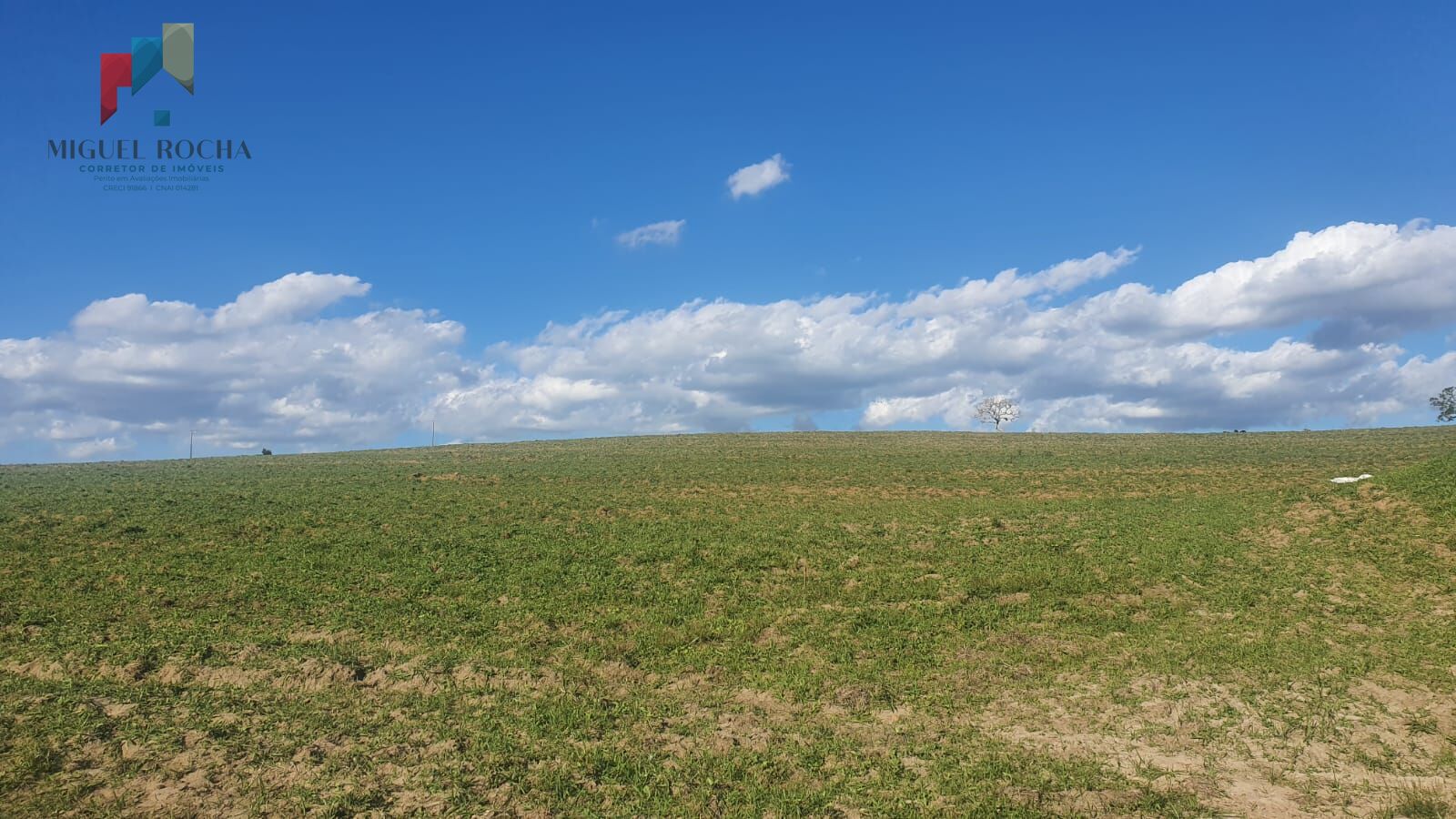 Fazenda Região Botucatu SP
