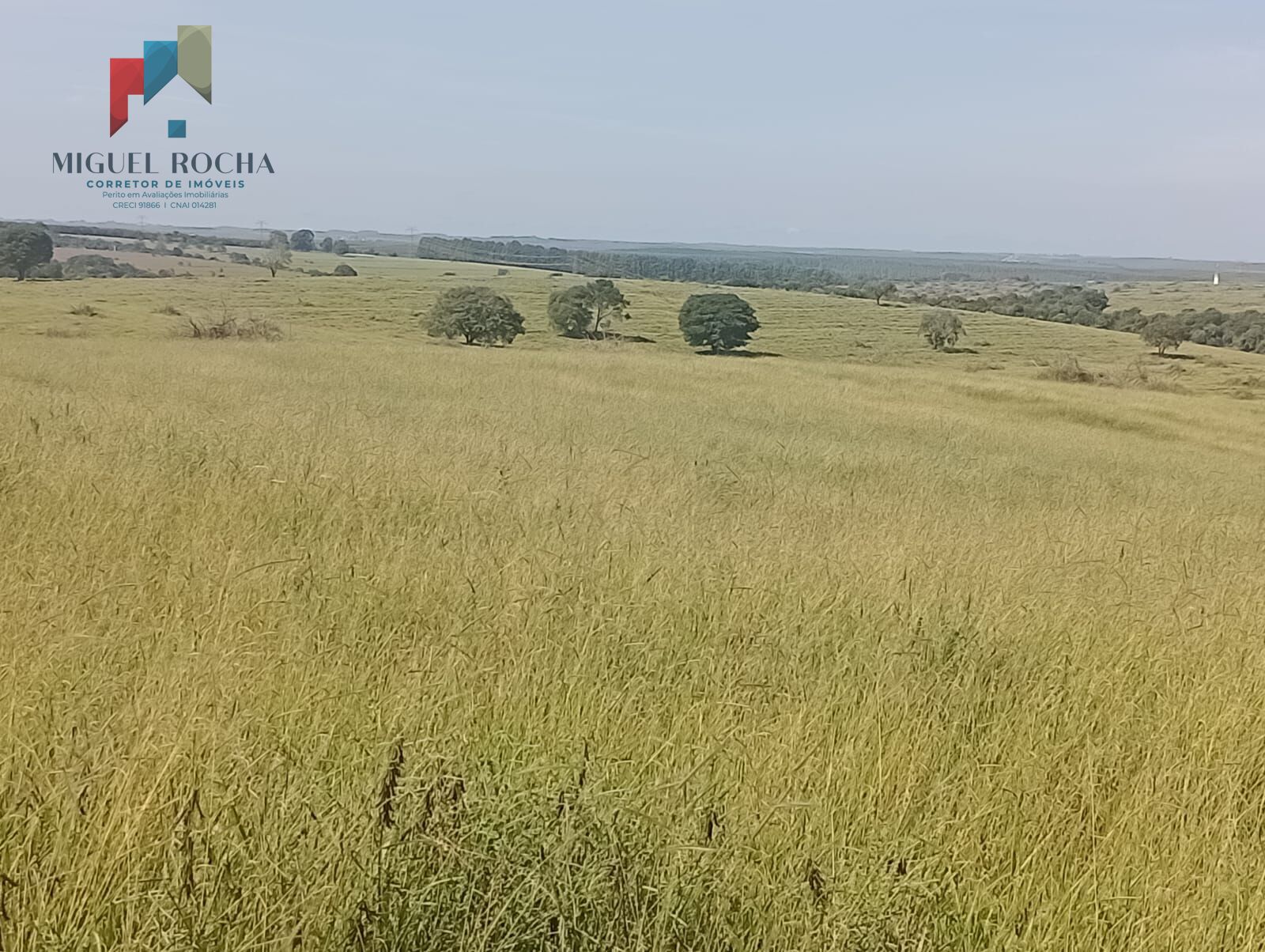 Fazenda Região Botucatu SP