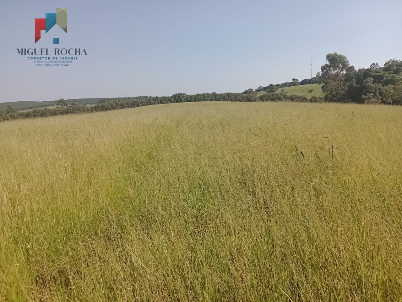 Fazenda Região Botucatu SP