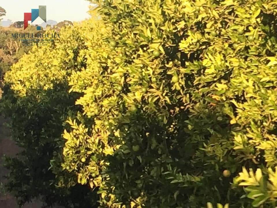 Fazenda à venda no bairro Centro - Tatuí/SP
